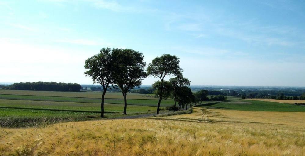 Camping Pommiers Des Trois Pays Licques Exterior photo